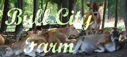 Durham Summer Camps Bull City Farm