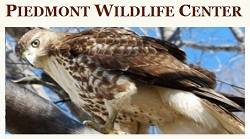 Durham Summer Camps Piedmont Wildlife Center