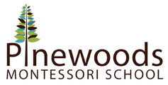 Durham Summer Camps Pinewoods Montessori